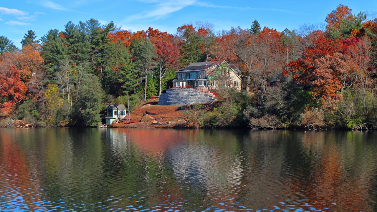 Forest Hills