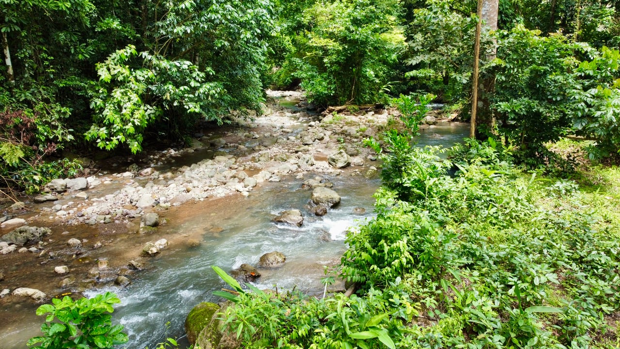 Ready-to-Build Land in San Antonio de Damas: 2,6-Acre with Terraces & Road Frontage