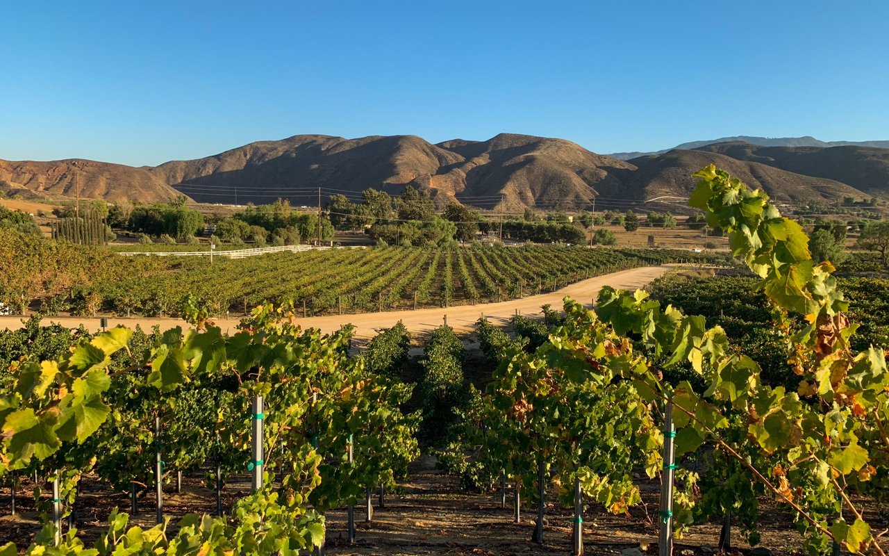 Temecula Valley, CA