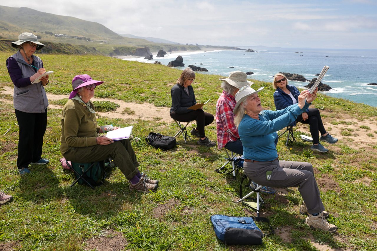 7 Nature Journaling Tips From Sonoma County Naturalist Sarah Reid