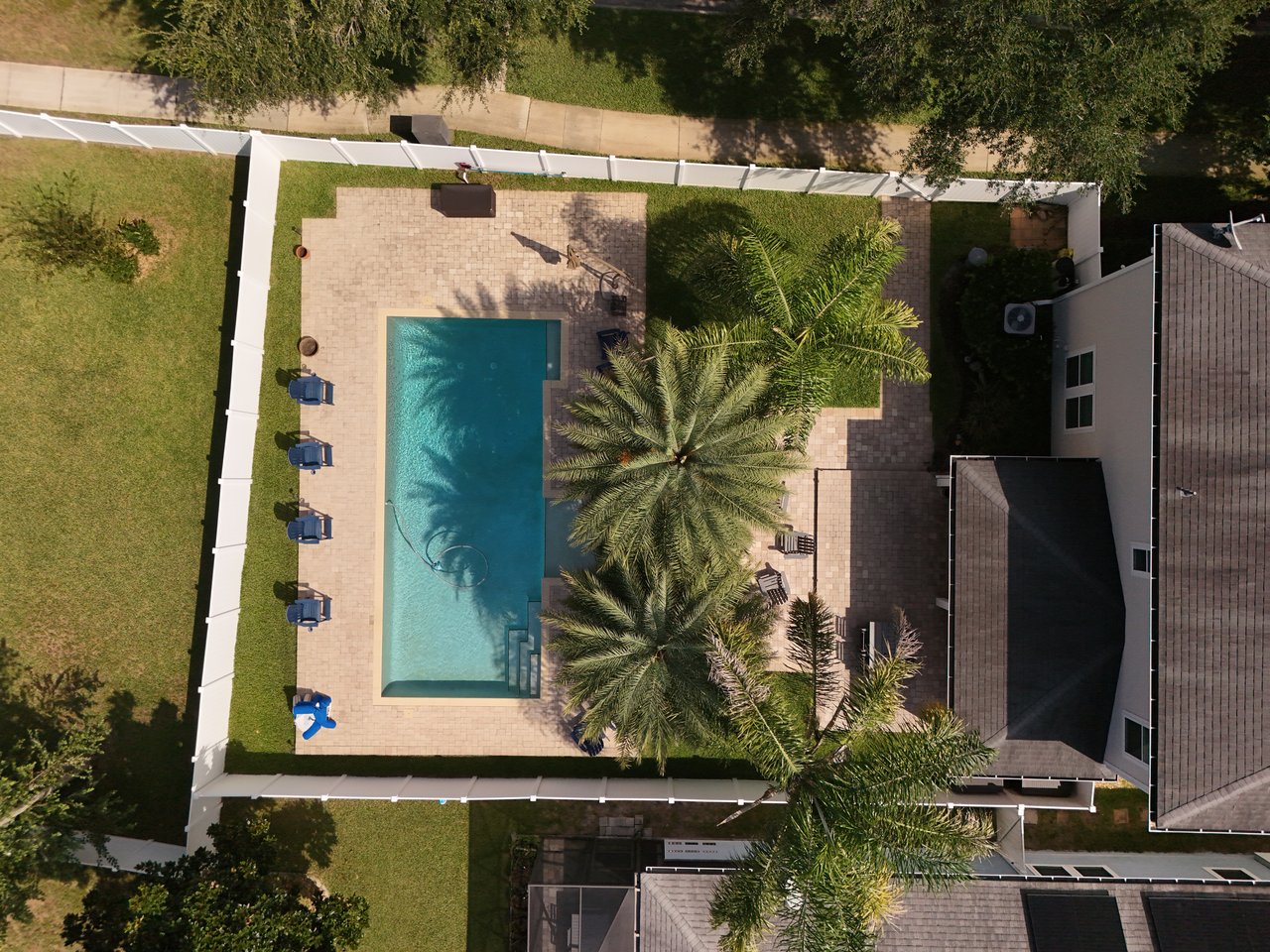 Aerial view of a backyard pool surrounded by a paved patio, lounge chairs, and palm trees.