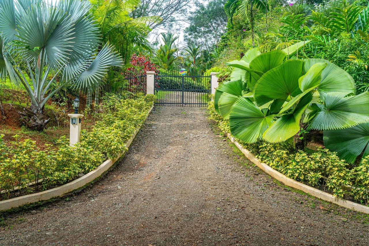 Ocean, jungle & mountain views on a meticulously landscaped 3-home family compound