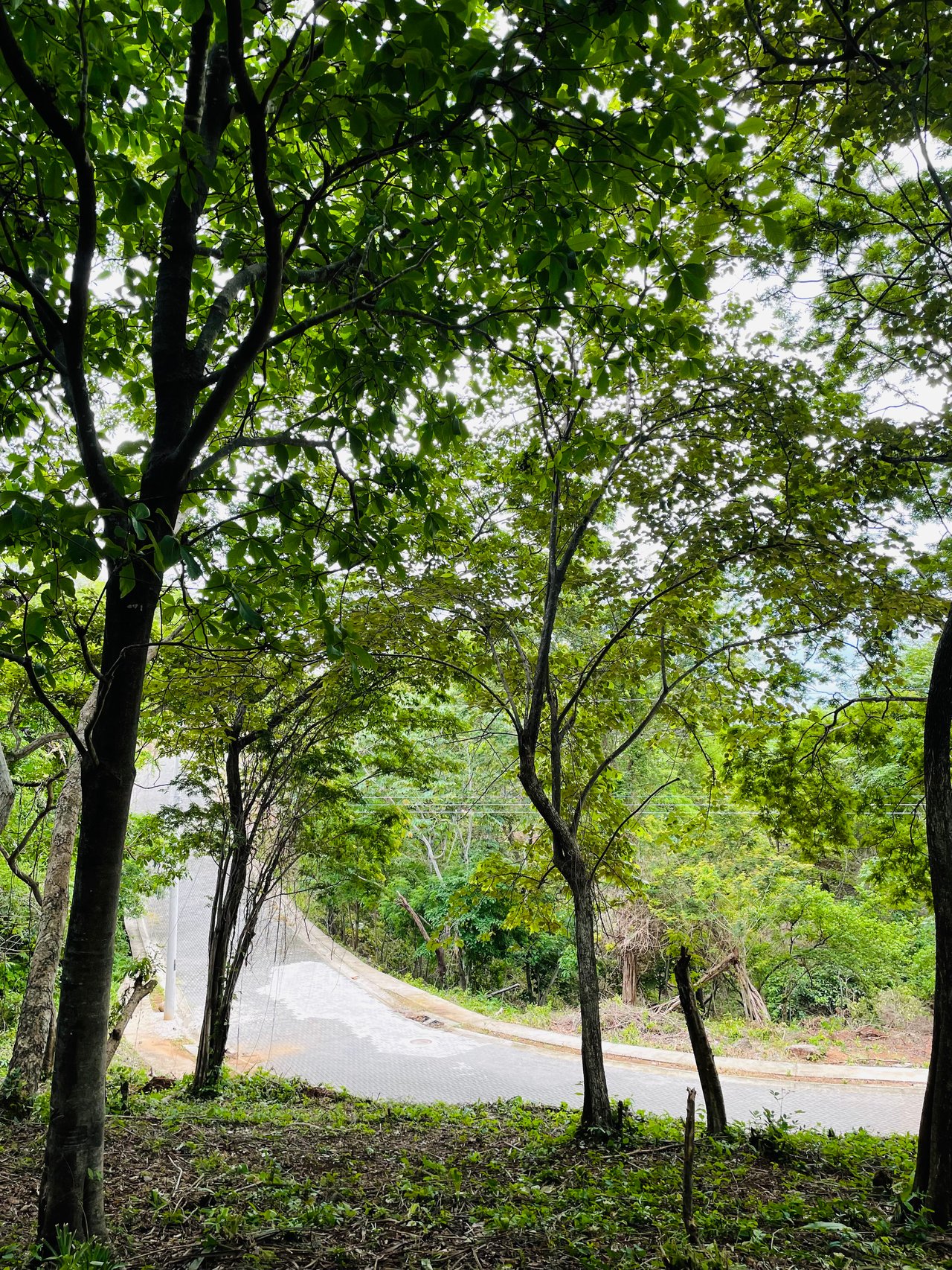 Valle Escondido