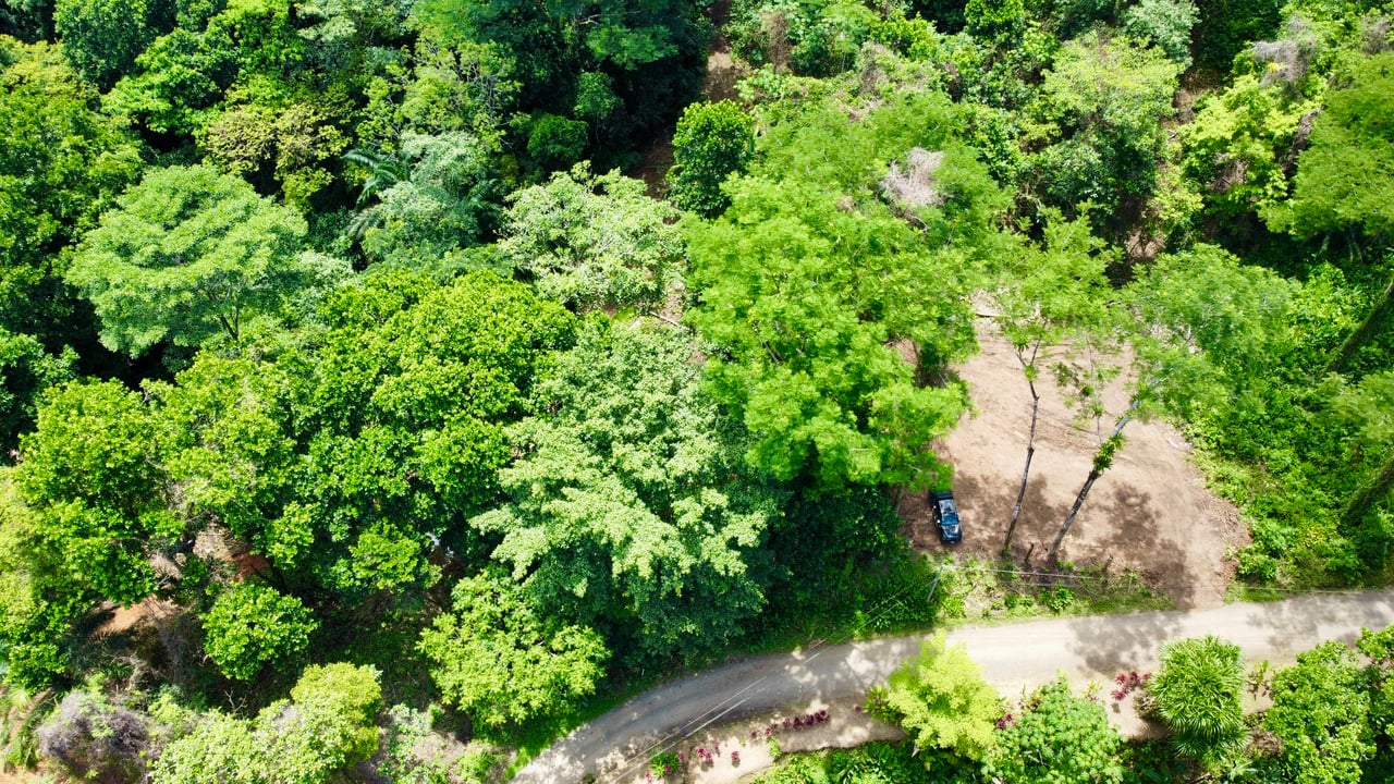 Ready-to-Build Land in San Antonio de Damas: 2,6-Acre with Terraces & Road Frontage