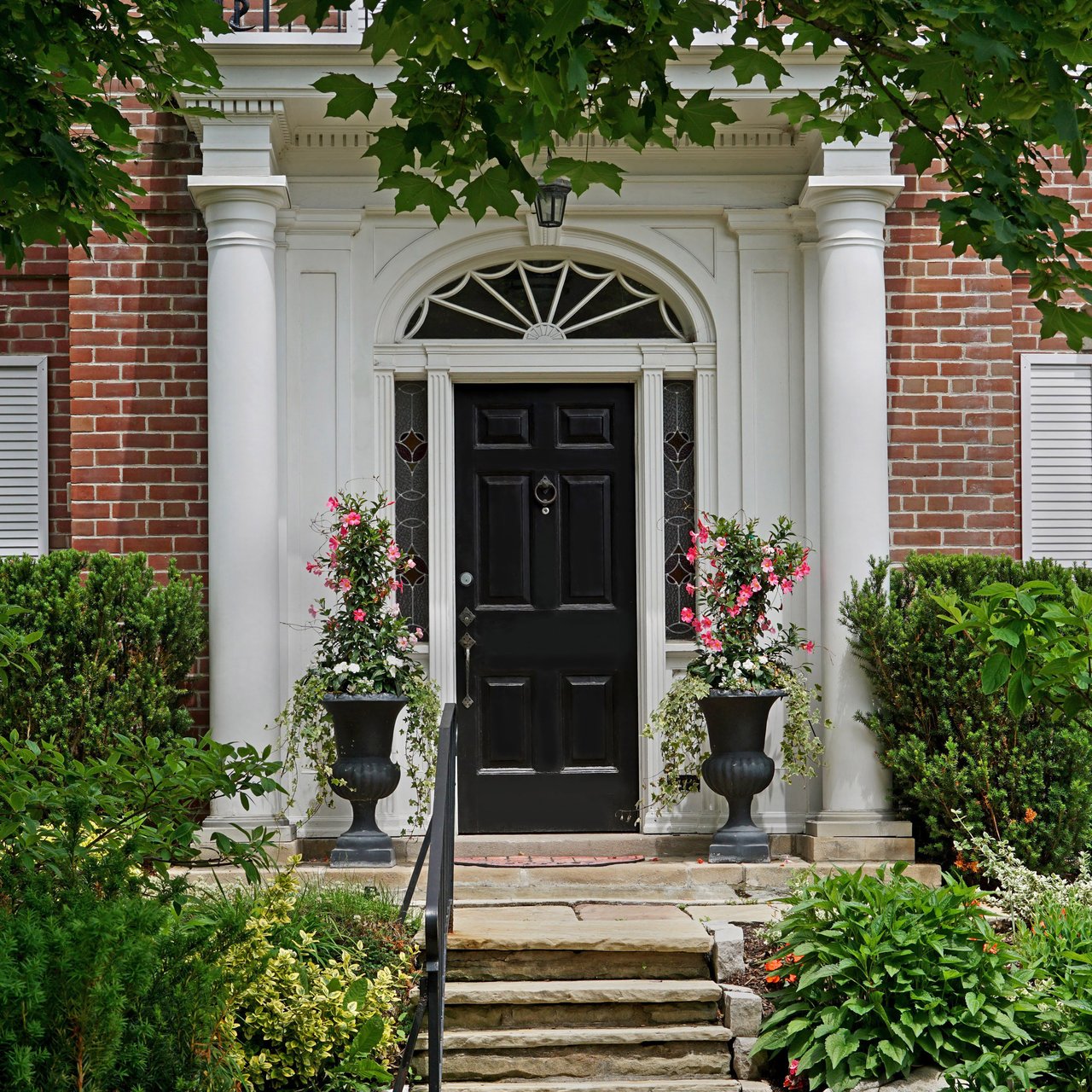 Form Image