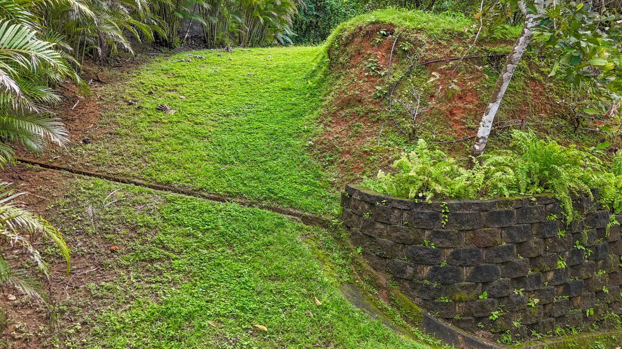 Ocean, jungle & mountain views on a meticulously landscaped 3-home family compound