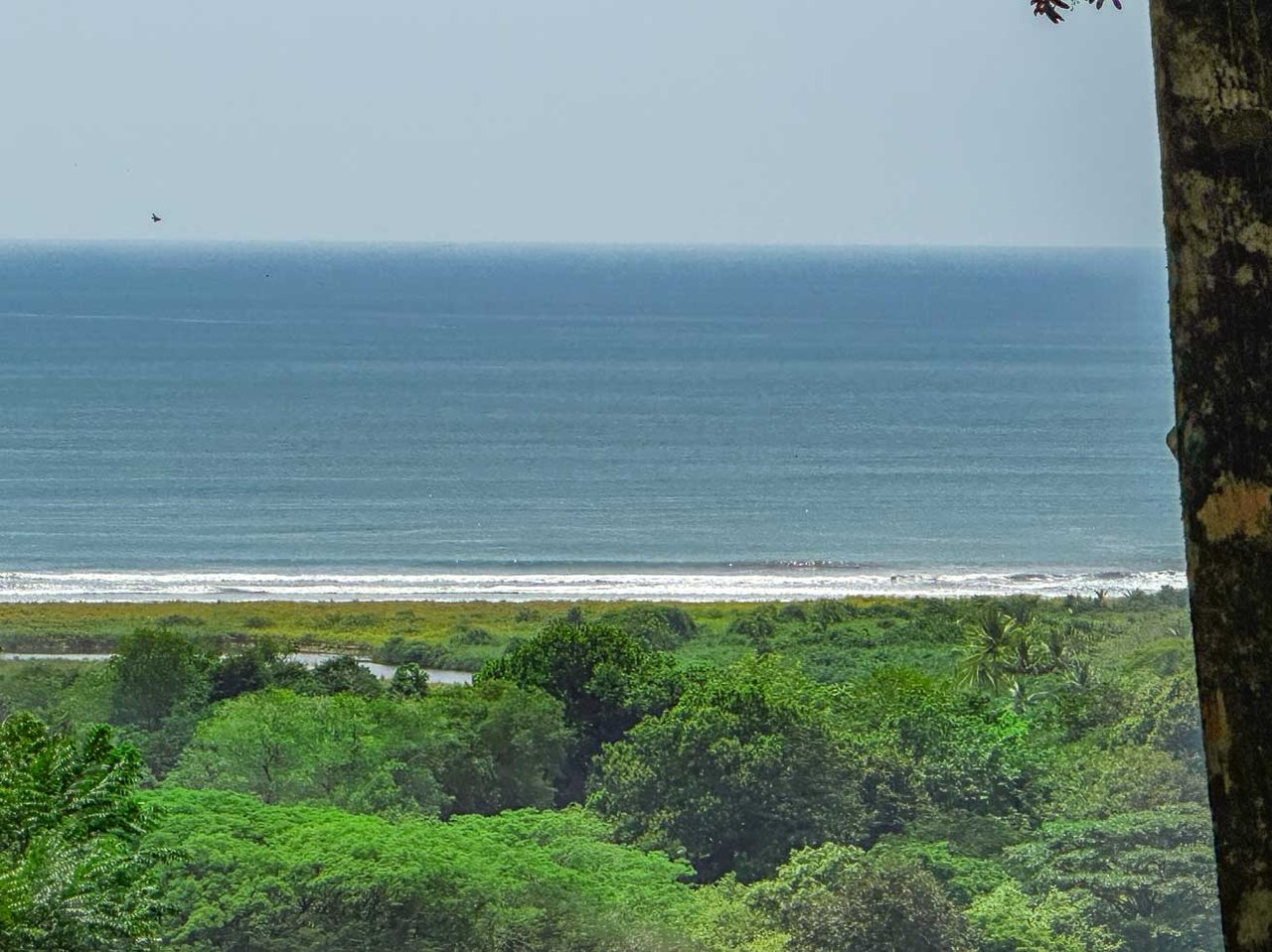 23-Acre Prime Highway Frontage Lot Near Ojochal & Ocean