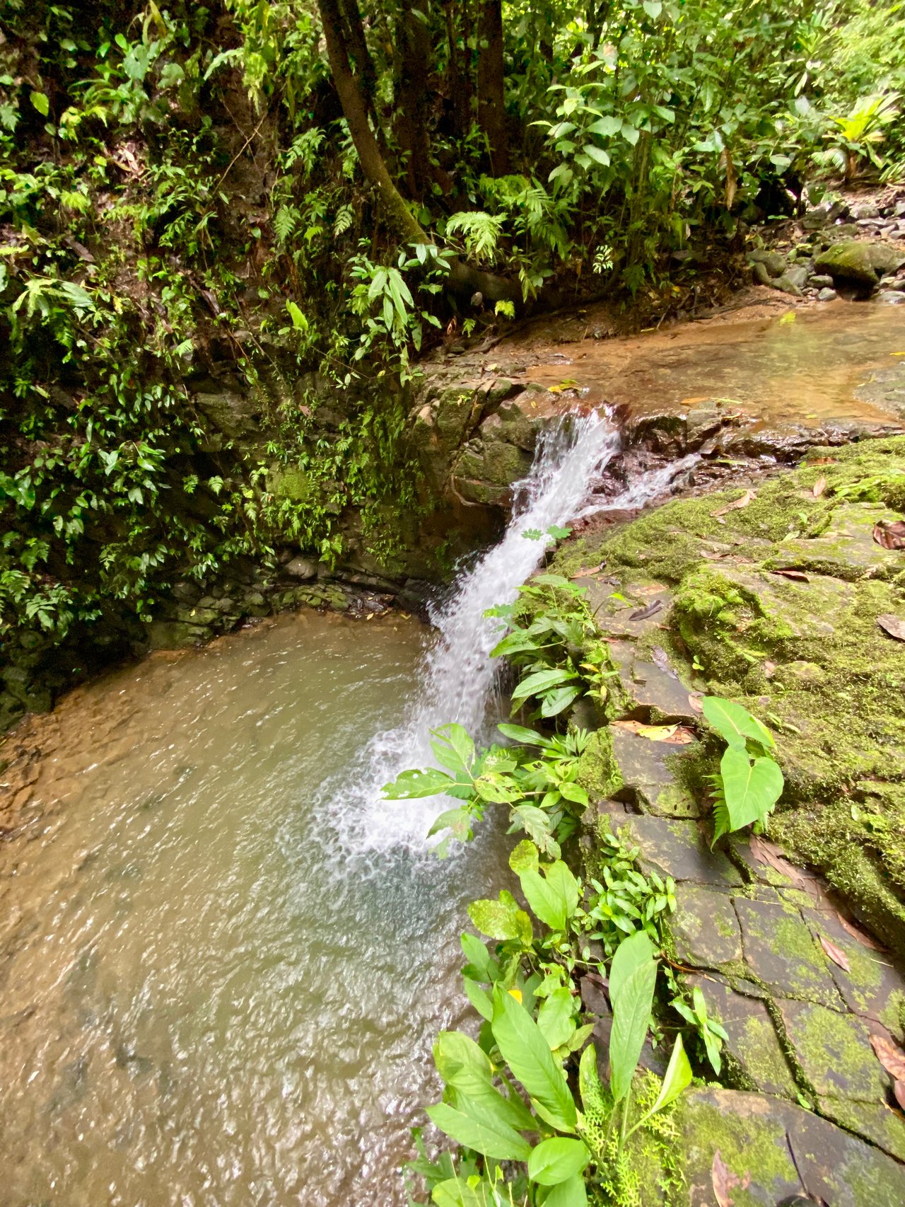 Spectacular 70 Acre Multiple Waterfall Property with Dramatic Views Near Ojochal