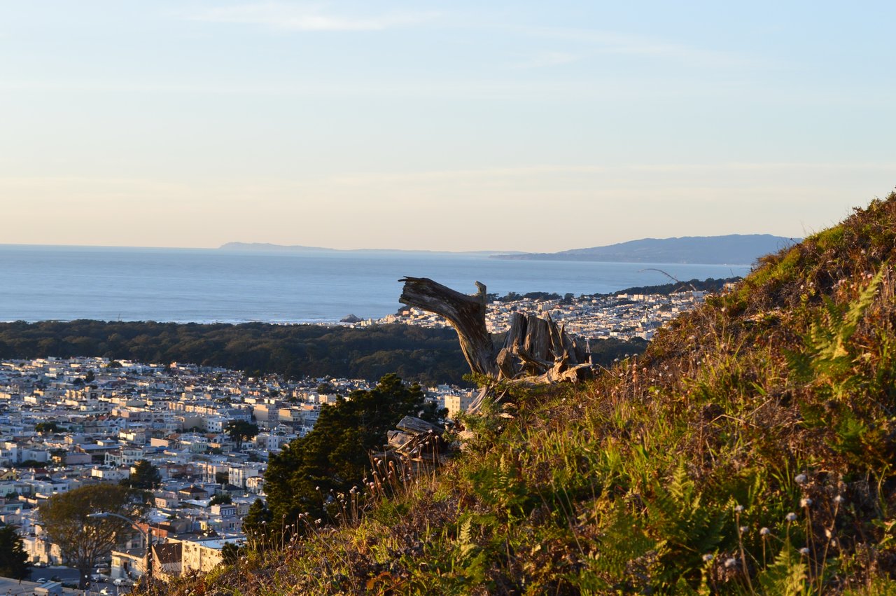 Outer Sunset