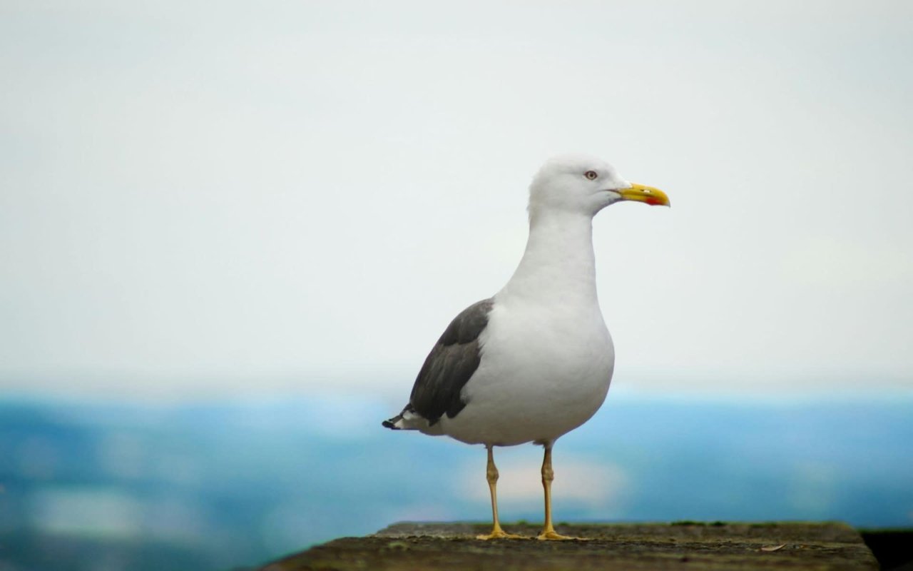 The Benefits of Owning Coastal Properties Near Port O’Connor