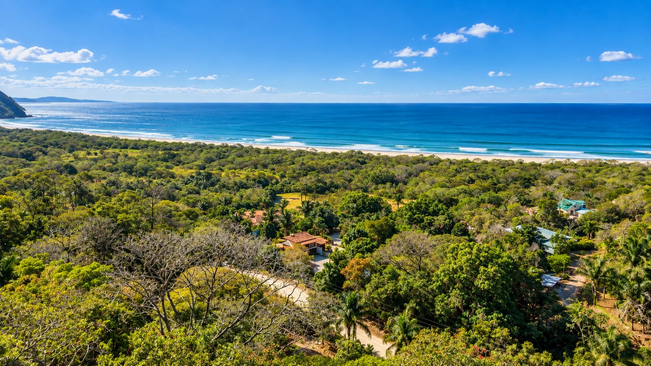 Aerial coastal view of forest and scattered homes beside a long sandy beach and blue ocean.