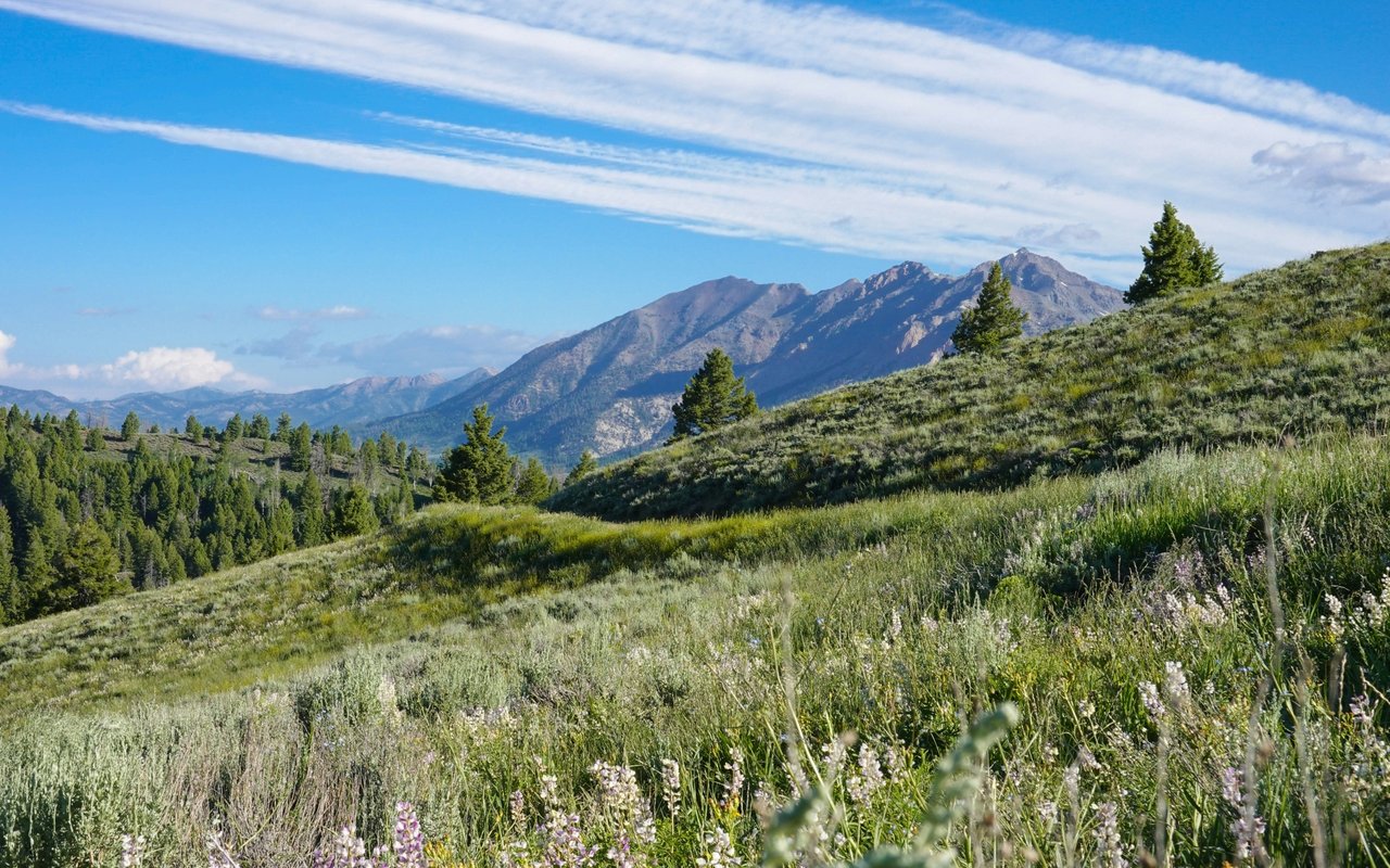 How to Choose a Sun Valley Idaho, Neighborhood