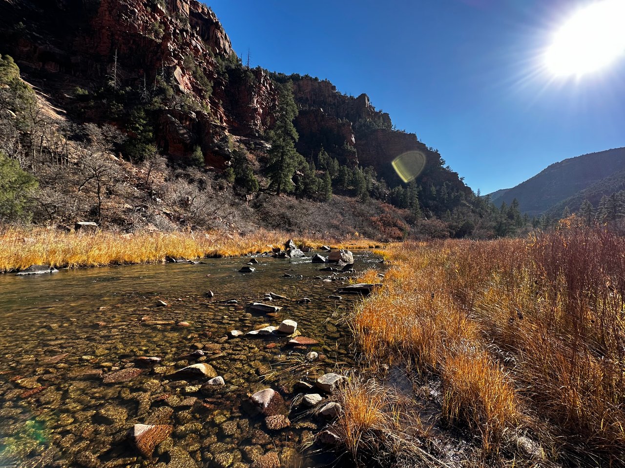 Rocky river winding through golden grasses beneath red canyon cliffs in bright sunlight.