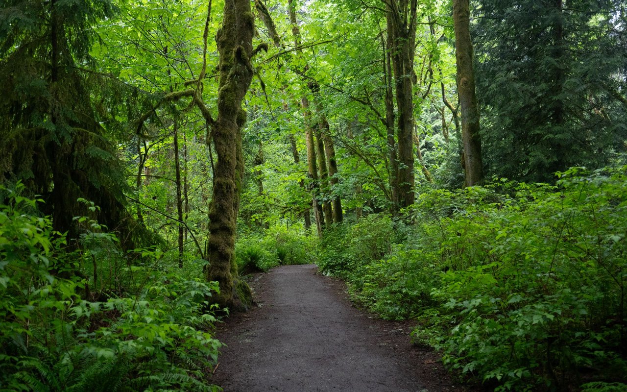 UBC/University Endowment Lands 