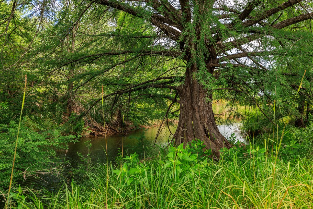 Live Oak Creek Ranch 