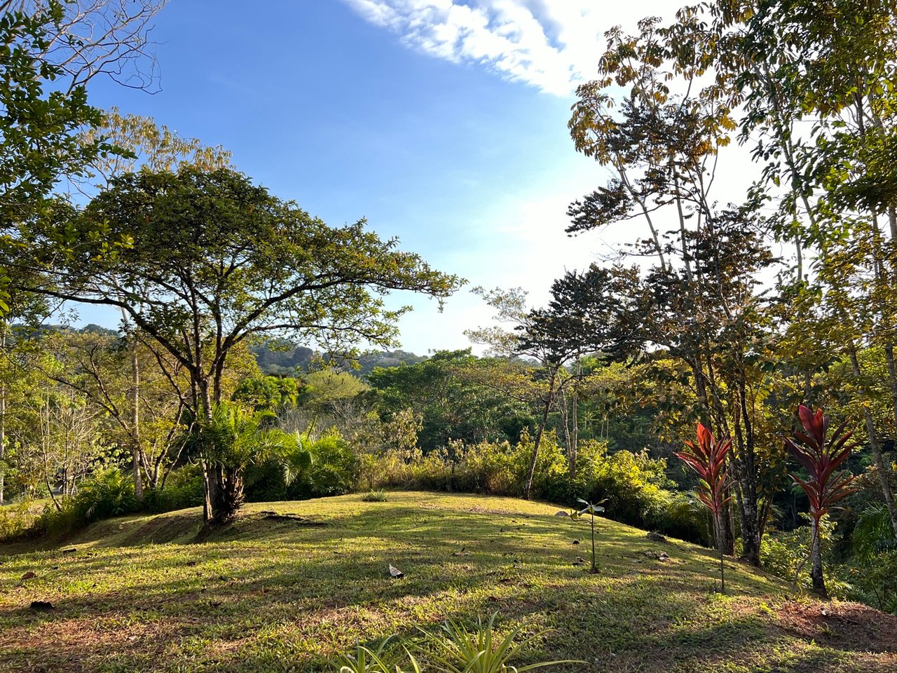 Modern Three-Bedroom Home On 6+ Acres In Ojochal