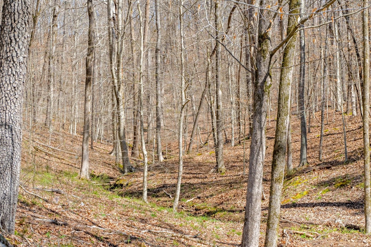 5432 Parker Branch Rd