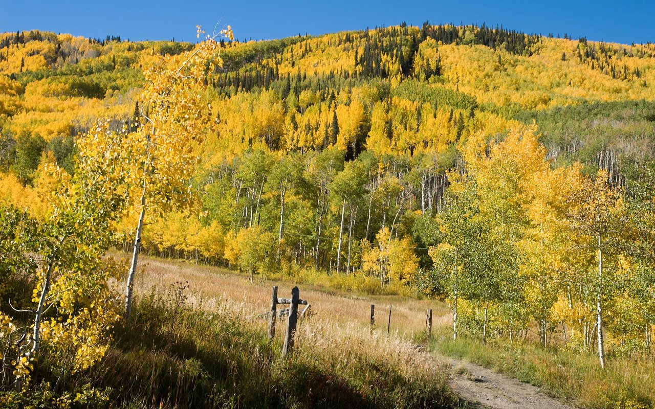 Powderhorn