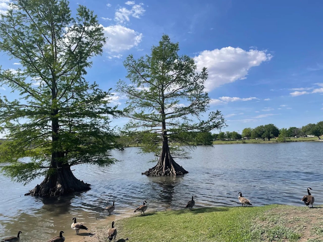 Maxey Park Homes for Sale in Lubbock, TX