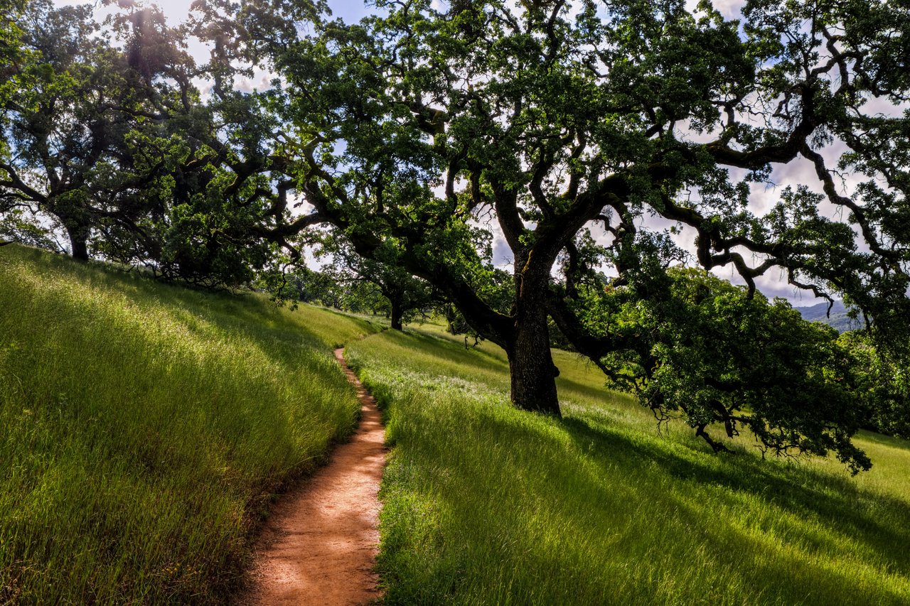 Morgan Hill
