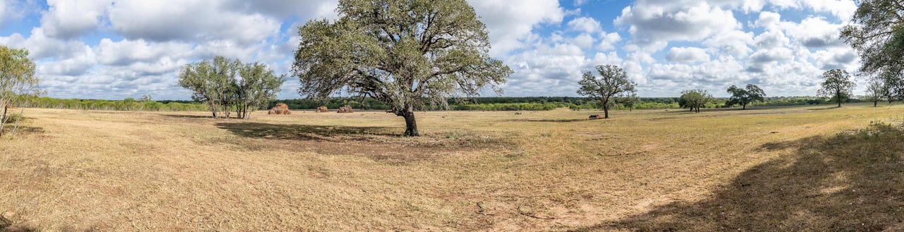 The Poco Loco | 278± Acres | DeWitt County