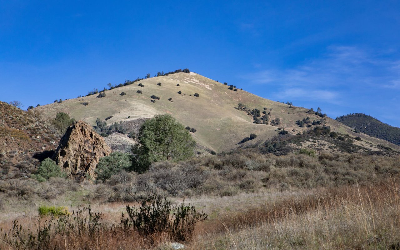 Santa Ynez