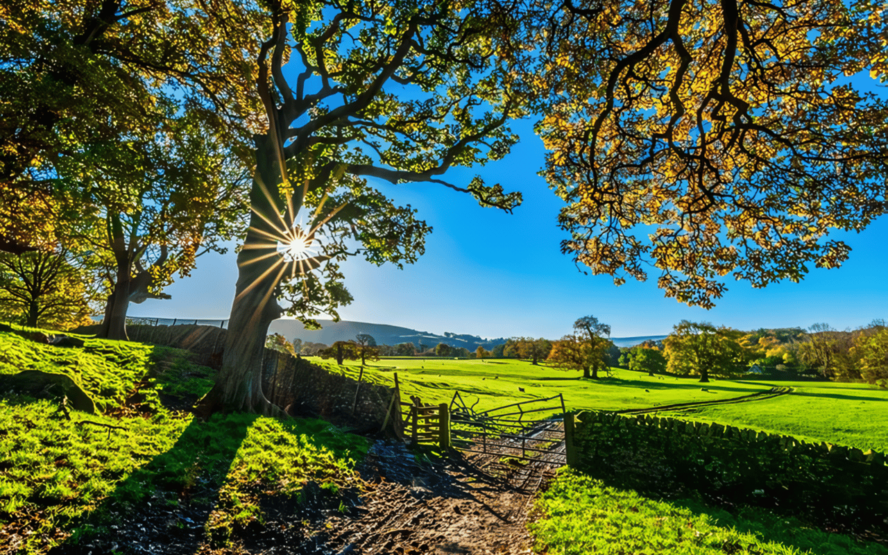 Gateway to Spring