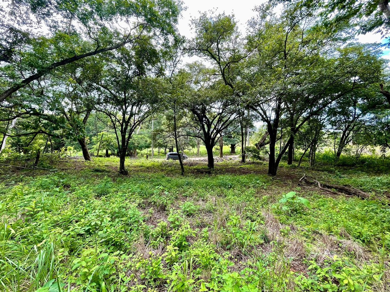Private Tropical Building Lot, Tamarindo, Guanacaste