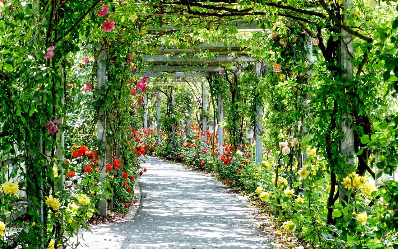 A Guide to Boca Grande Parks