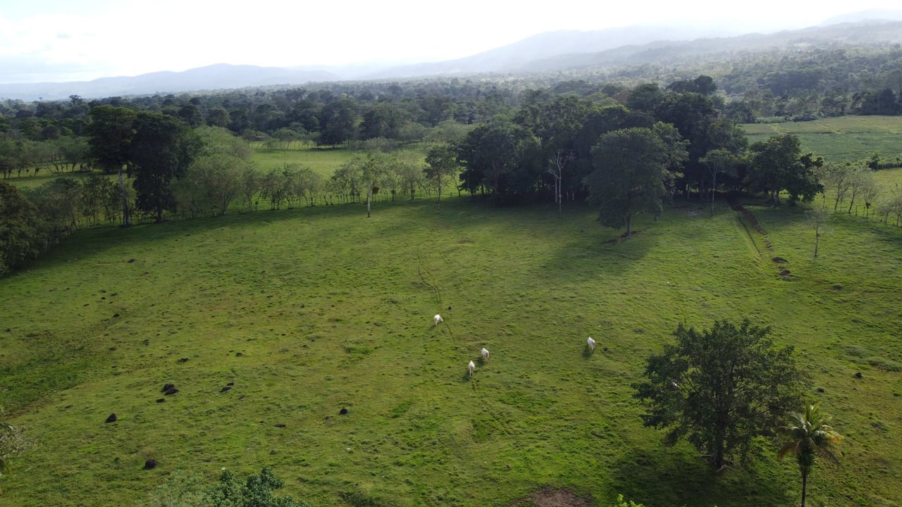 Rancho San Miguel | Enchanting Paradise; Your Ultimate Investment Opportunity in Buenavista de Guatuso, Katira!