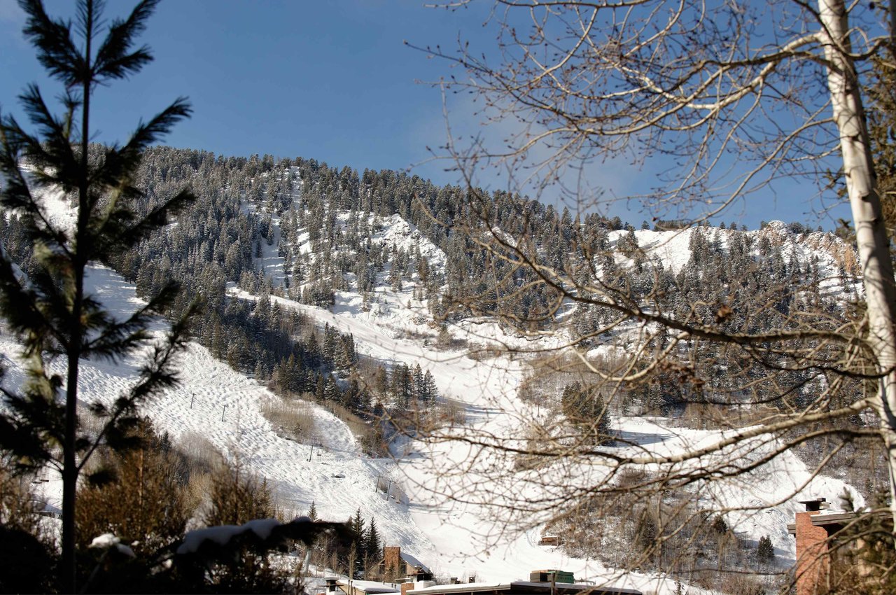 Amazing Townhome Just One Block from the Aspen Mountain Gondola