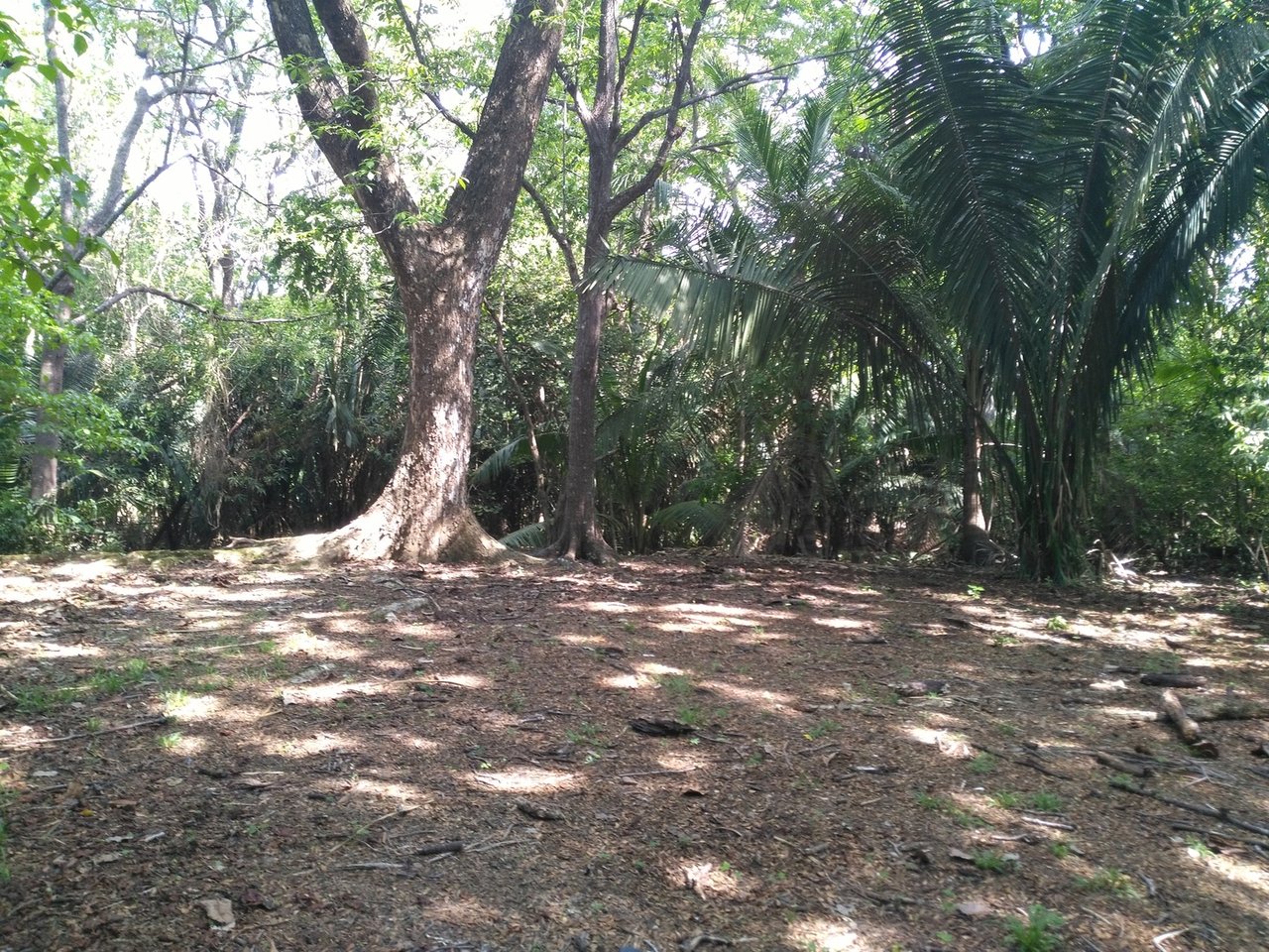 Private Secluded Beachfront Lot, Santa Teresa, Puntarenas