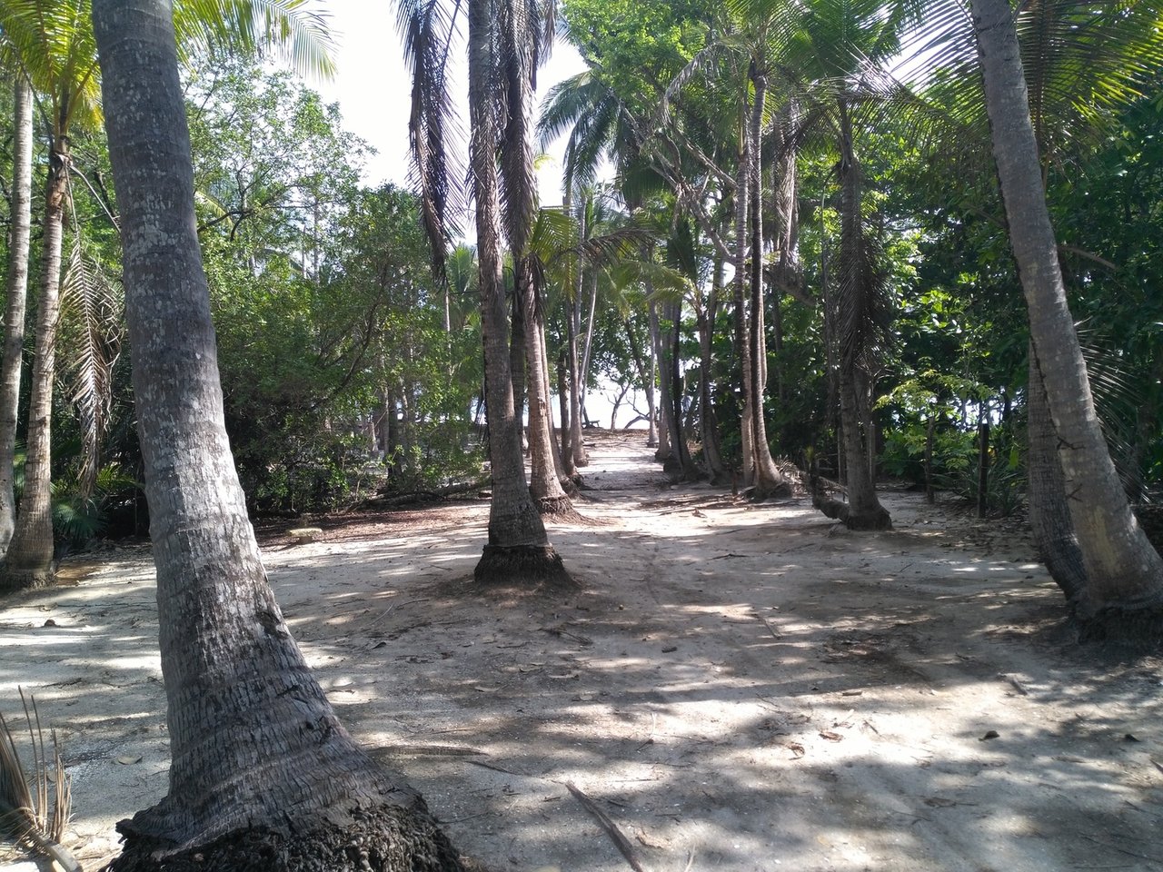 Private Secluded Beachfront Lot, Santa Teresa, Puntarenas