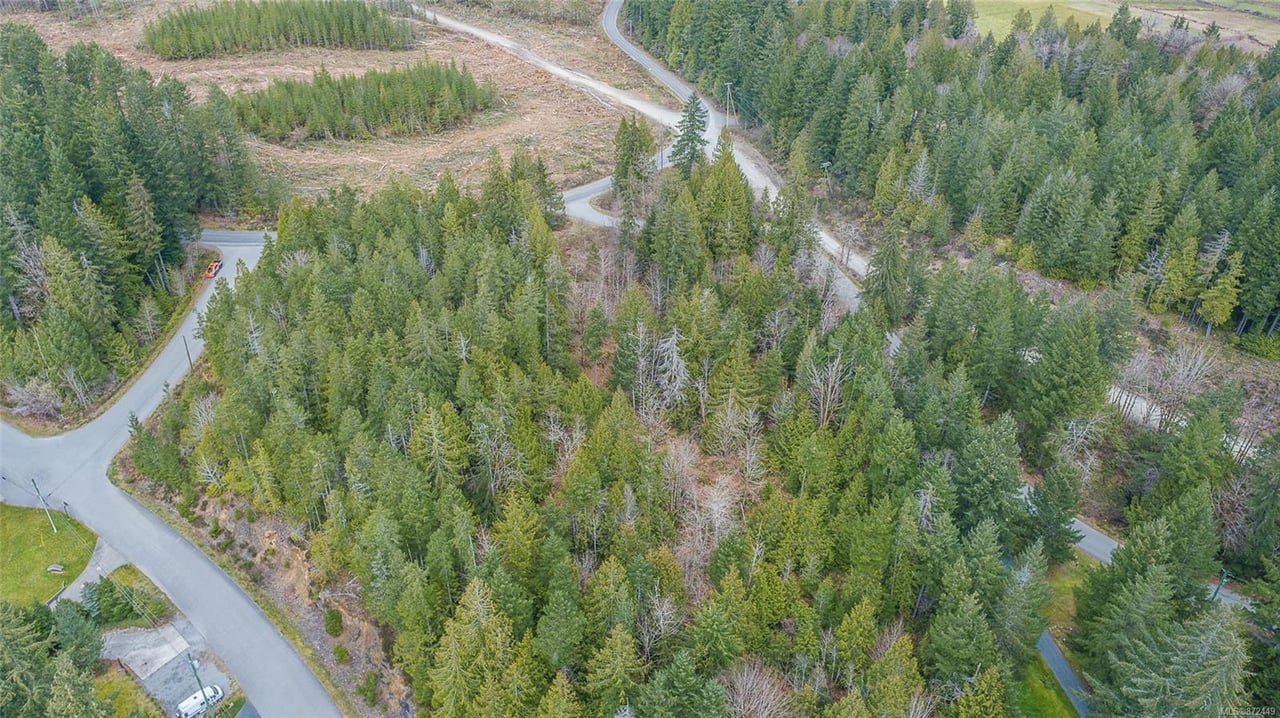 Lot 21 Bloedel Dr, Port Alberni