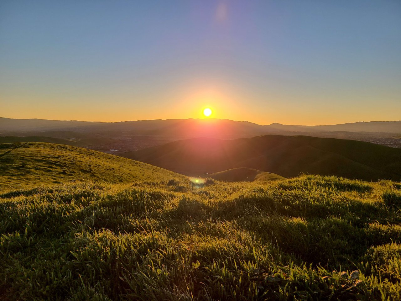 Danville