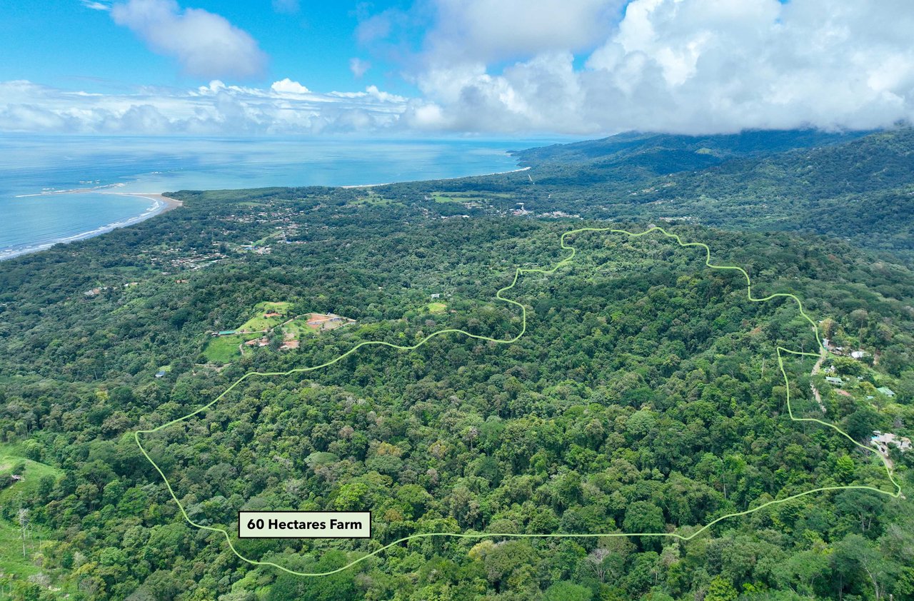 Legacy 60-Hectare Property with Panoramic View of the Whale's Tail Beach 