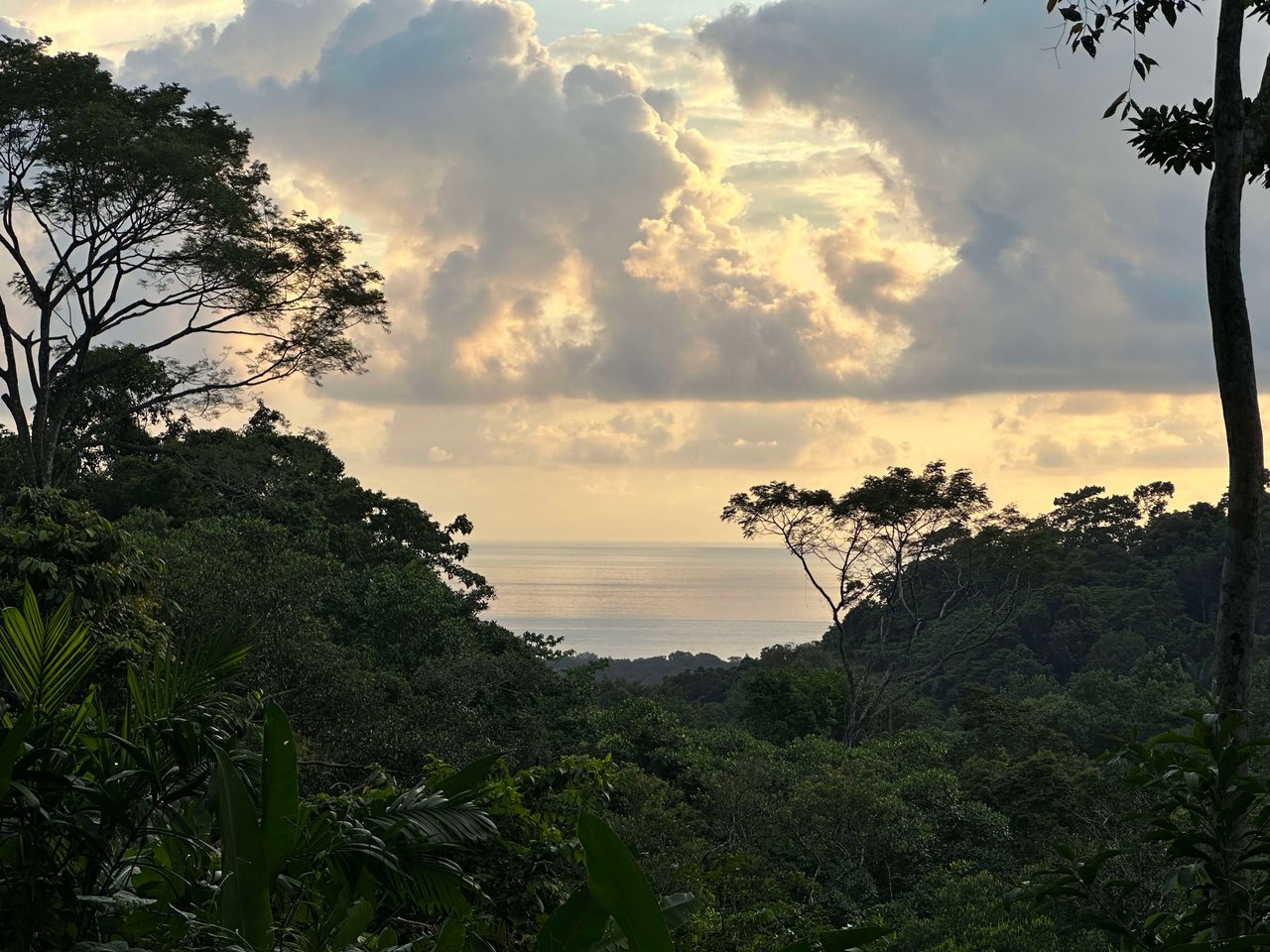 Secluded Ocean view Land in Dominical, Costa Rica