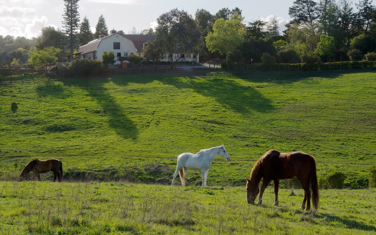 Los Altos Hills