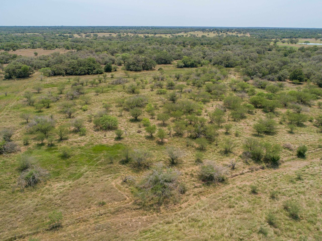 Green DeWitt Rd | 40.82± Acres | DeWitt County