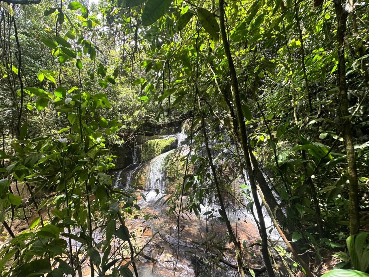 Waterfall Eco Hotel Estate, Perez Zeledon, San Jose