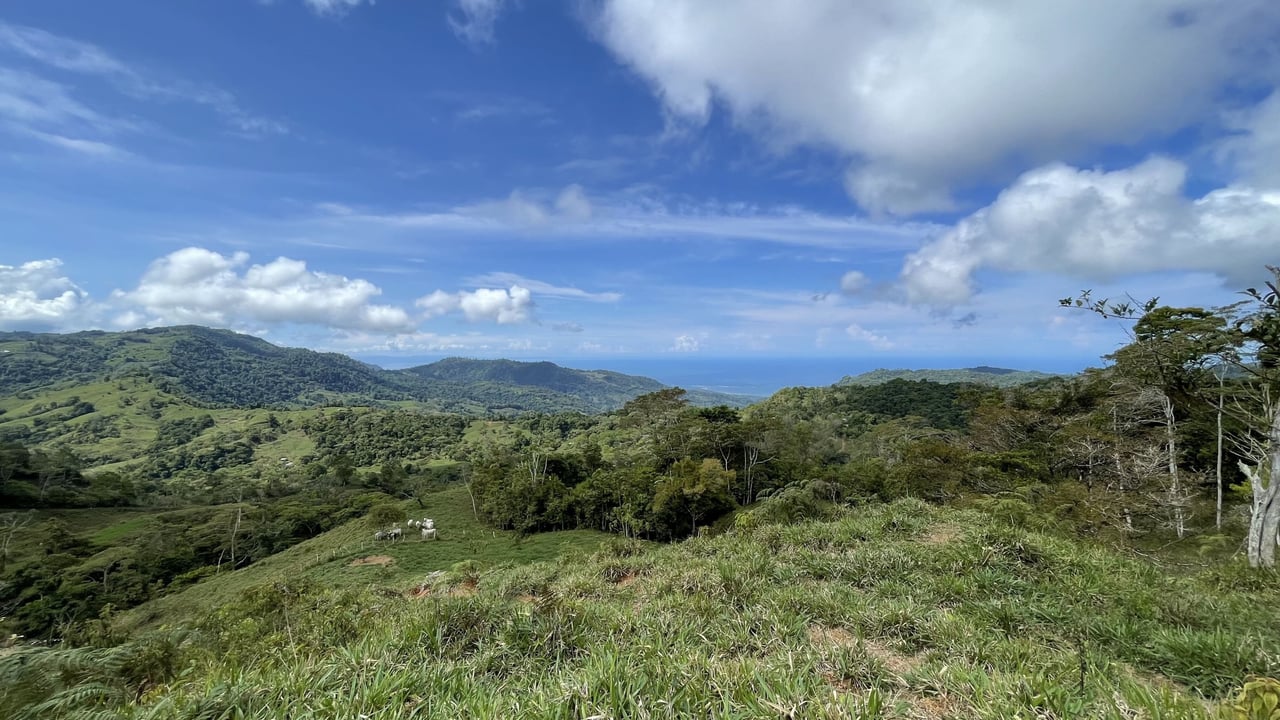 Whales Tail and Ocean View Farm, Over 39 acres