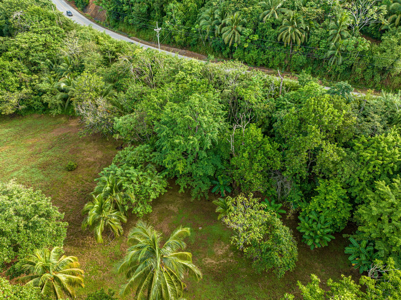 Seaside Serenity Property In Puerto Nuevo, Uvita