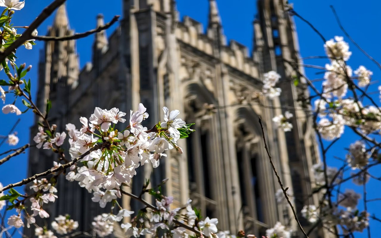 Things to Consider Before Moving to Durham