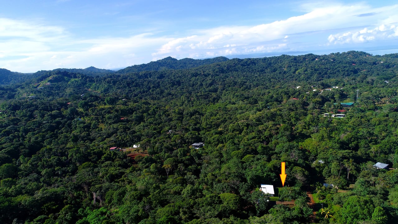 2-Bedroom, Brand New Modern House In Jungle Community On Calle Tucan.