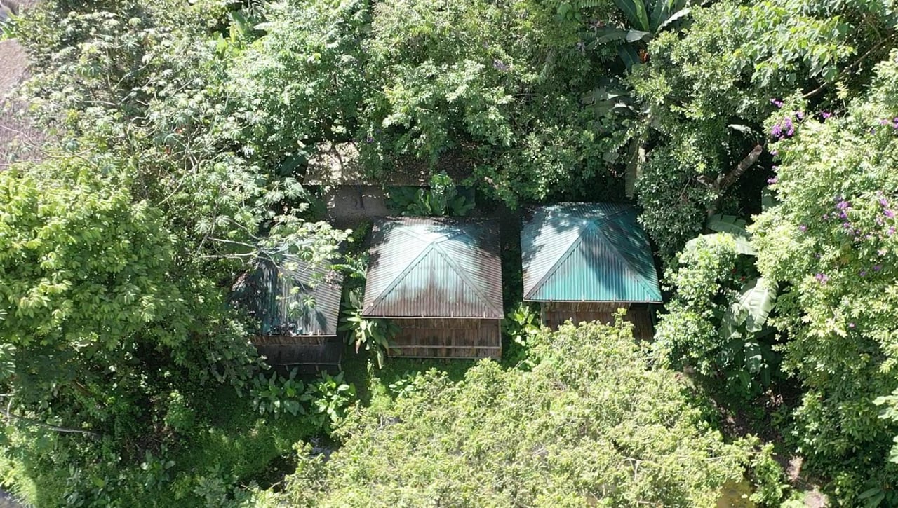 Sustainable Conservation Retreat, Osa, Puntarenas