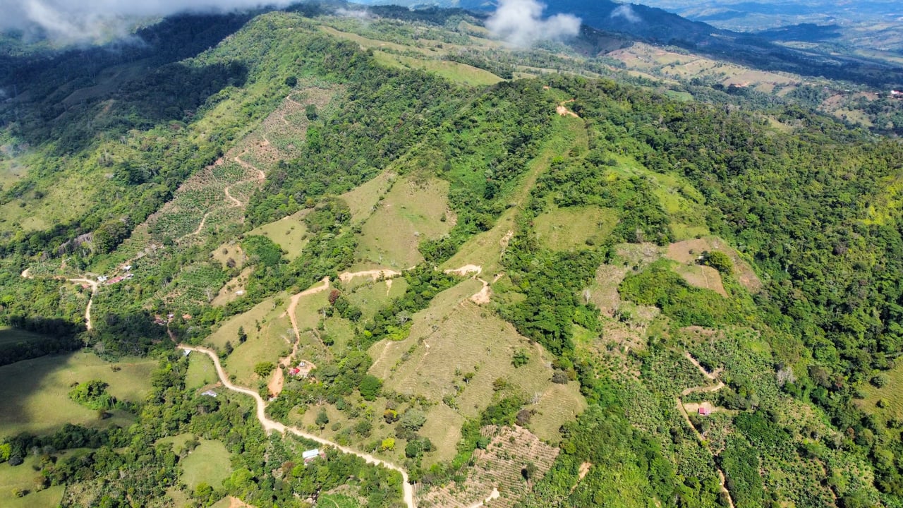 45 Acres Development Farm in San Luis with two Existing Homes 