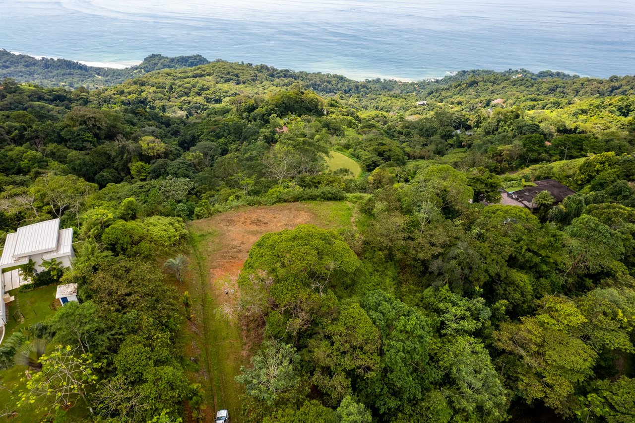 Iconic Whales Tail View in Premium Gated Community