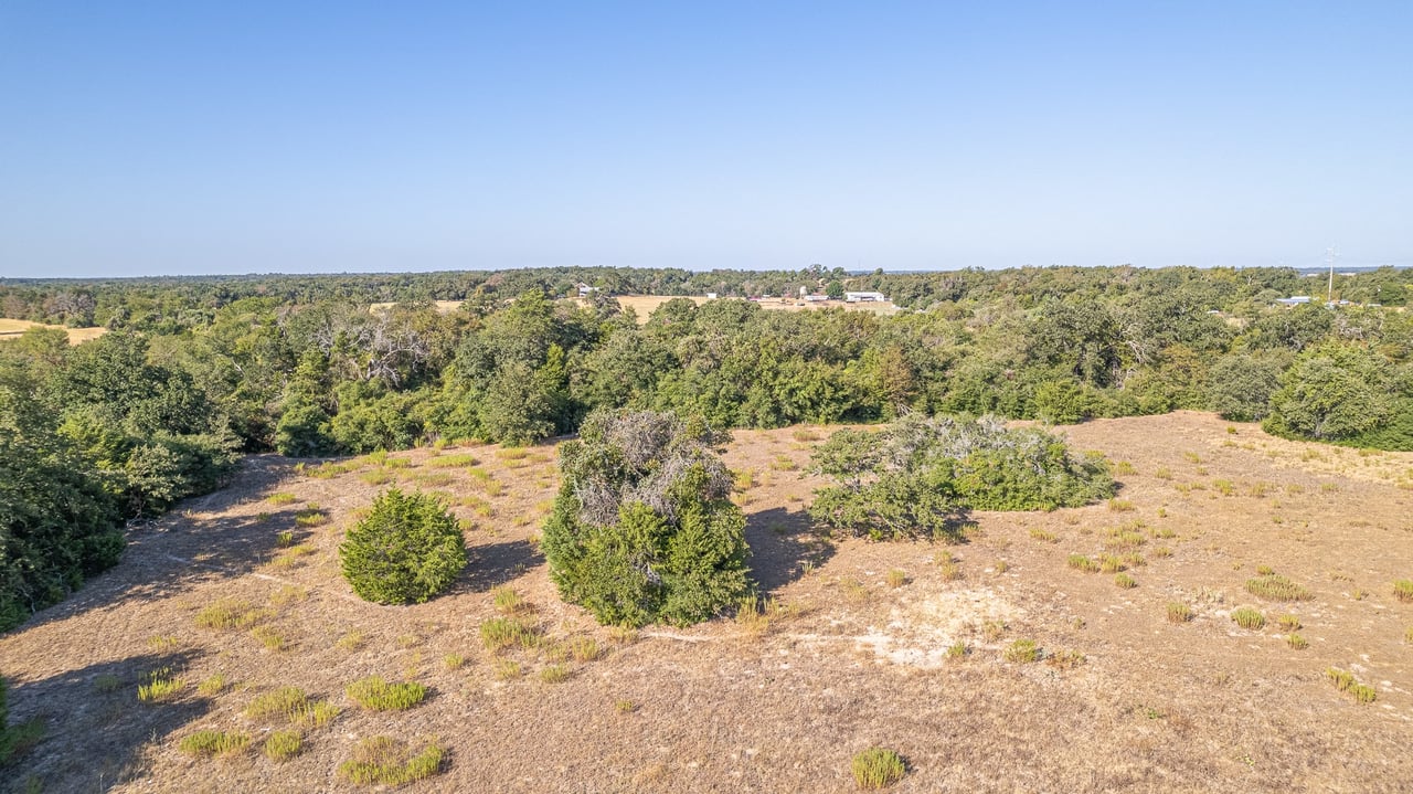 59.59 Acres in Brazos Valley region
