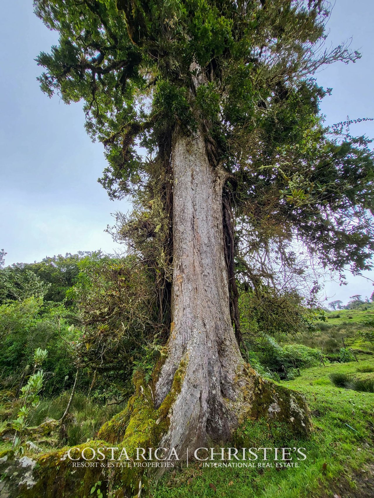 Finca La Toscana, Eco Lifestyle Ranch