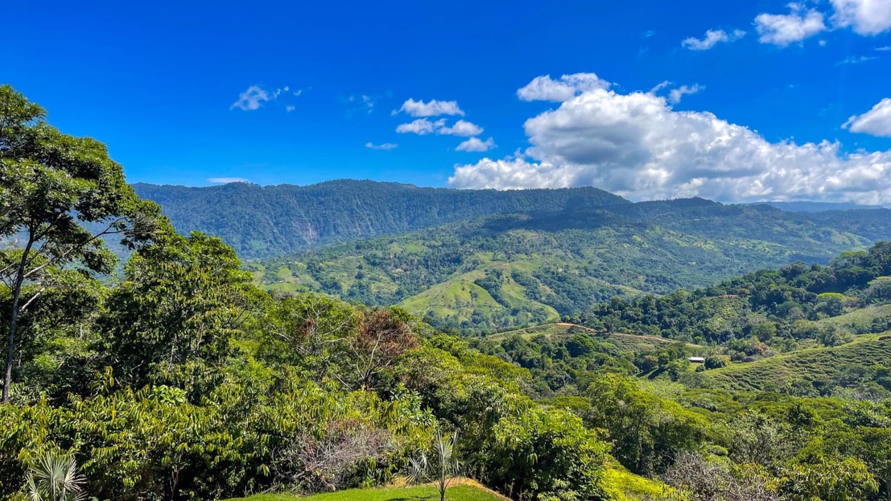 Boutique Hotel Rental Investment, Dominical, Puntarenas